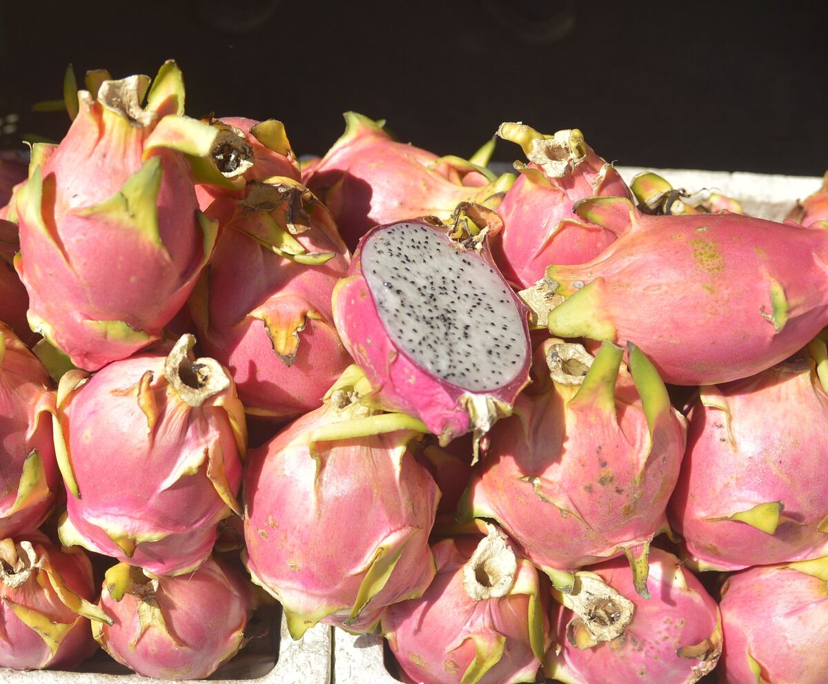 La deliciosa pitahaya. Una fruta con buen potencia para la exportación