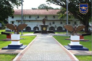 Restringen acceso a información o datos del SENAN 