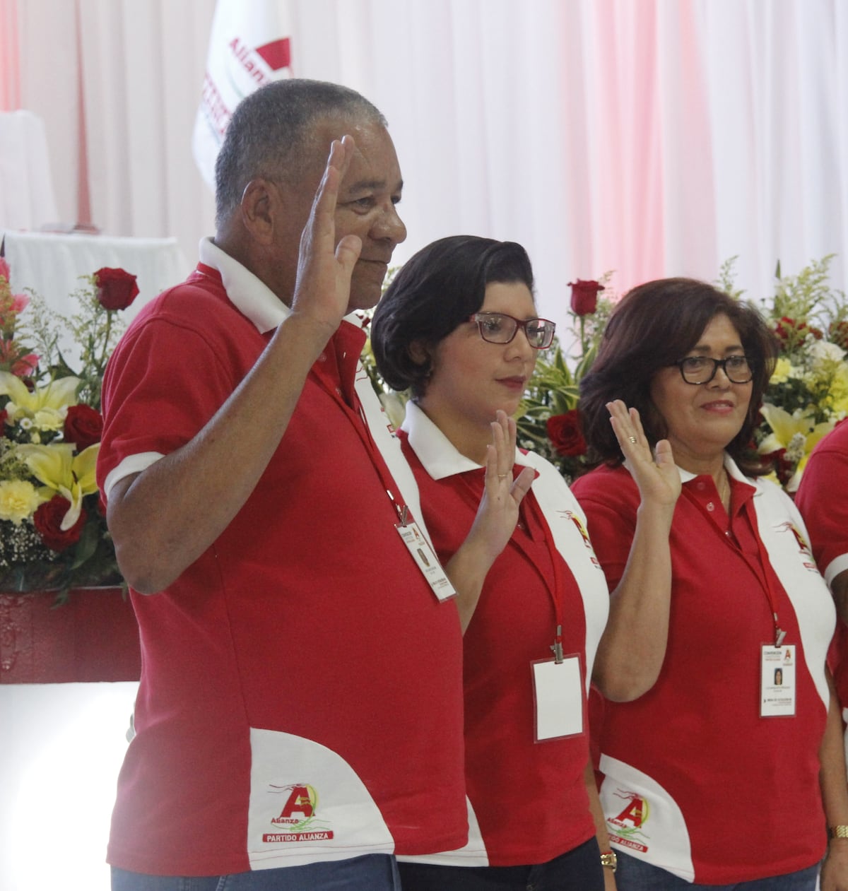 Sin diputados en la Asamblea Nacional logran subsistir como partidos políticos