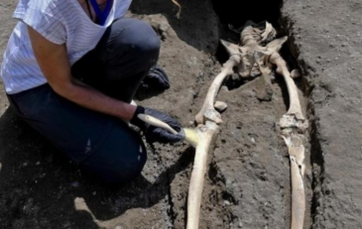 Descubren esqueleto de un hombre víctima de la furia de la erupción en Pompeya