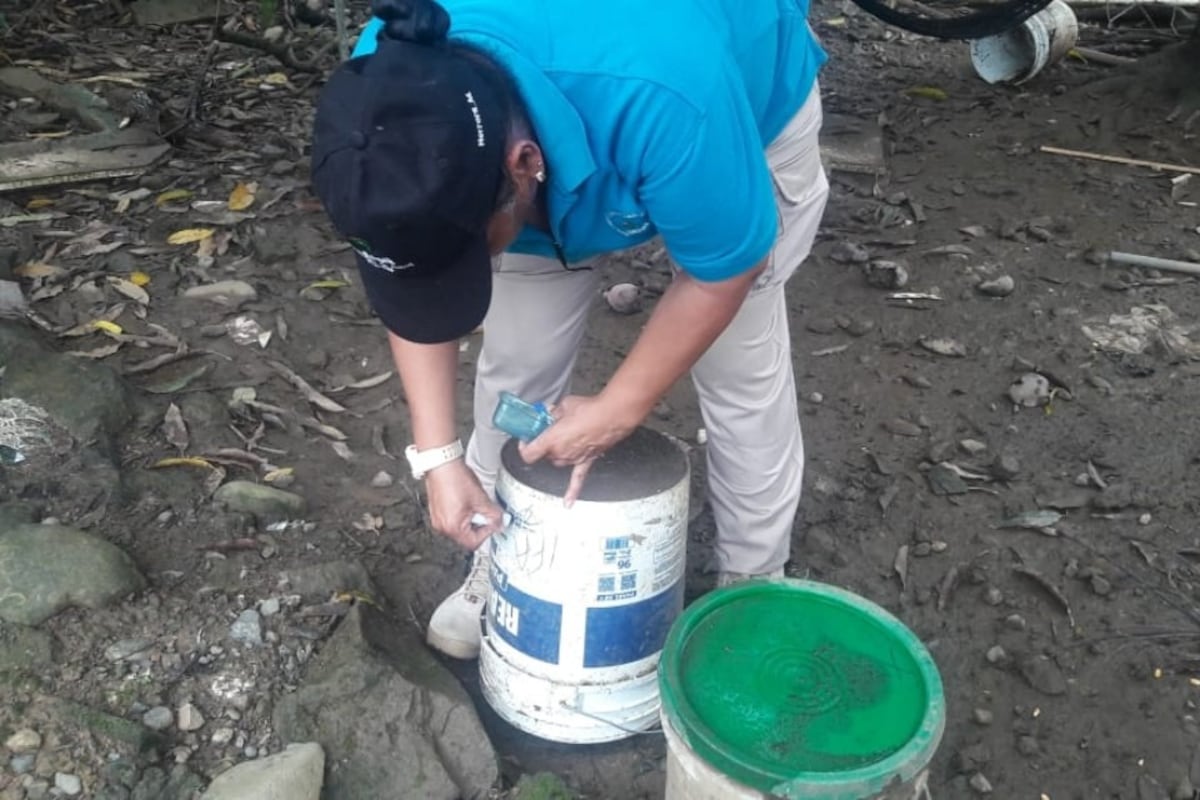 Último reporte del dengue en Panamá revela más de 15 mil casos