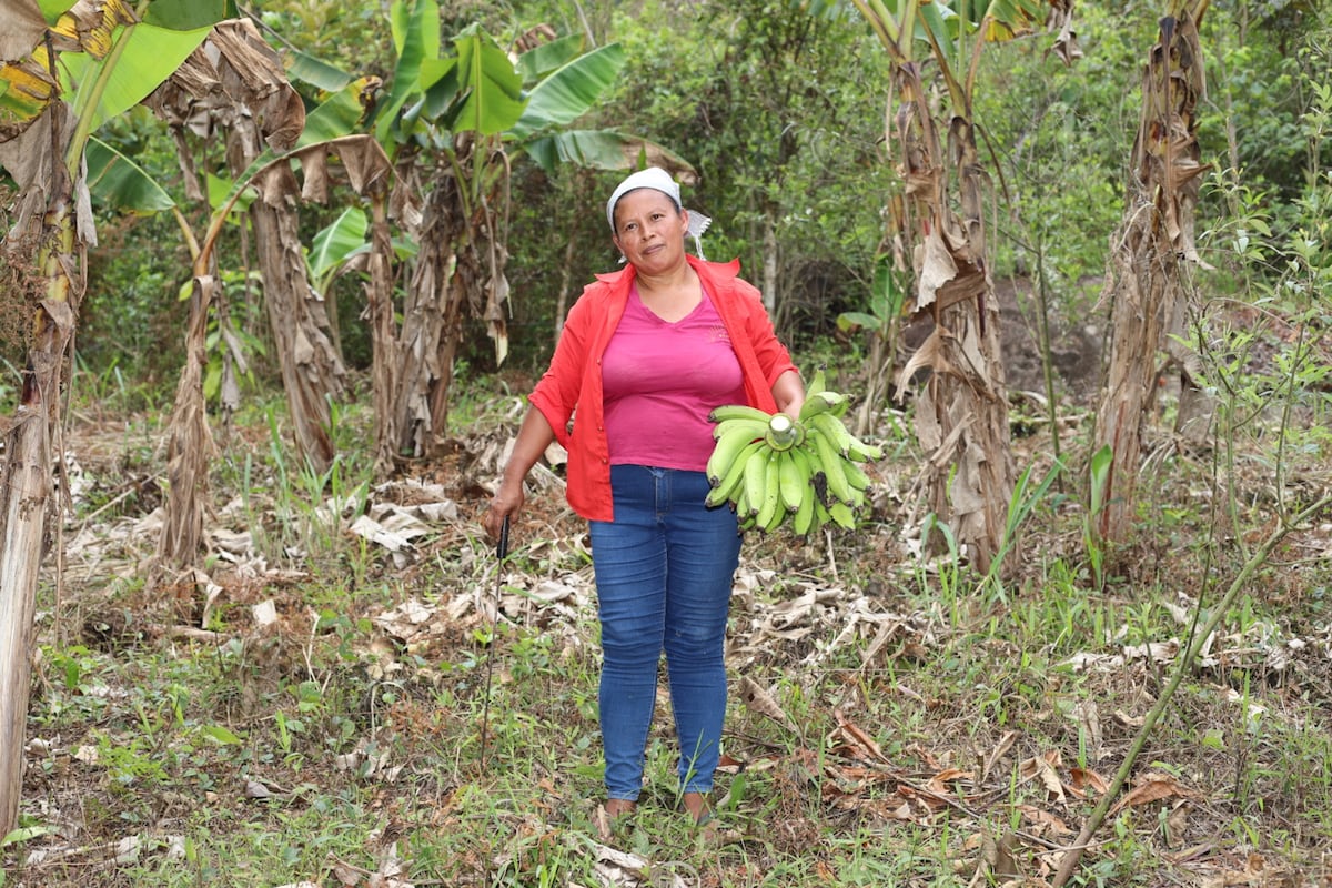 Con machete y botas: así trabaja Aida Rodríguez, una guerrera del campo en Panamá