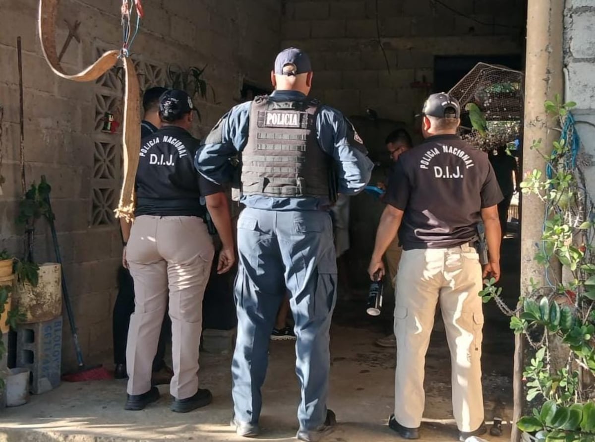 Tras la pista del ganado robado: Caen 3 por hurto pecuario en Veraguas