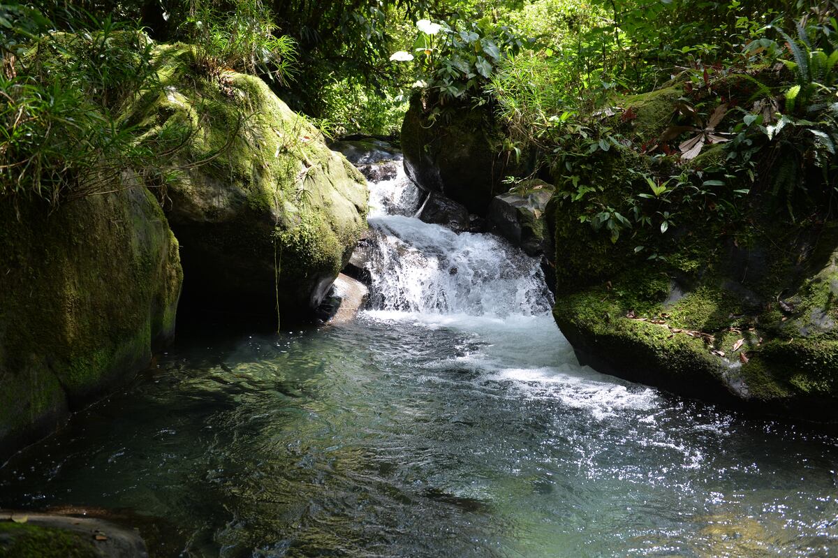 A cuidar la casa grande