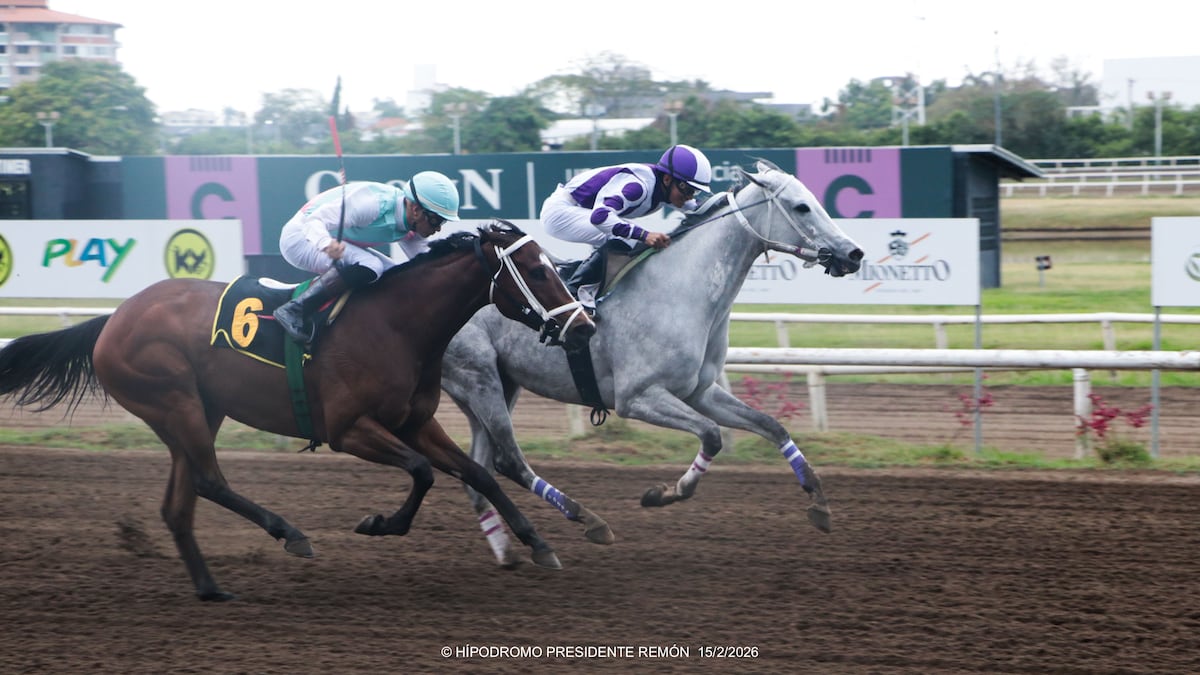 Marzo inicia con Premio Especial con 14 caballos por 15 mil dólares en Hipódromo Presidente Remón