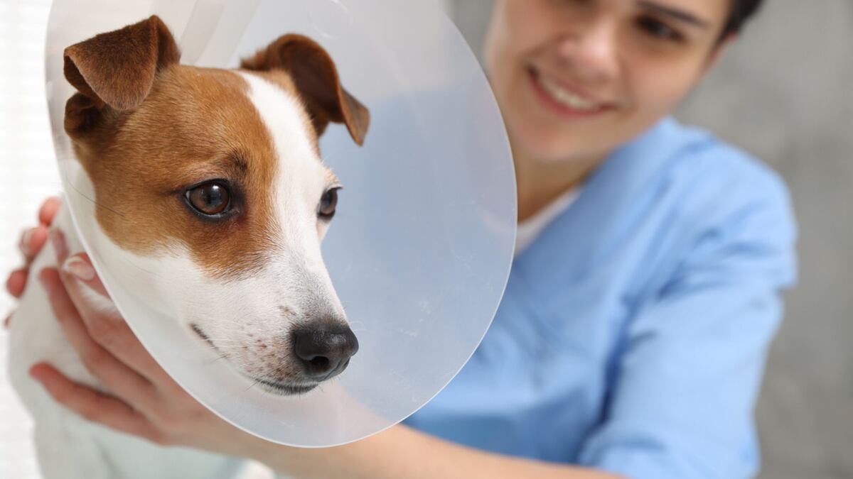 Cancelan feria de salud de EE.UU. en Panamá