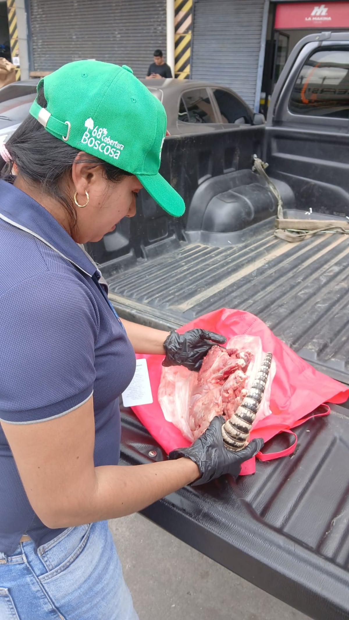¡Cayó por vender carne de armadillo en redes!