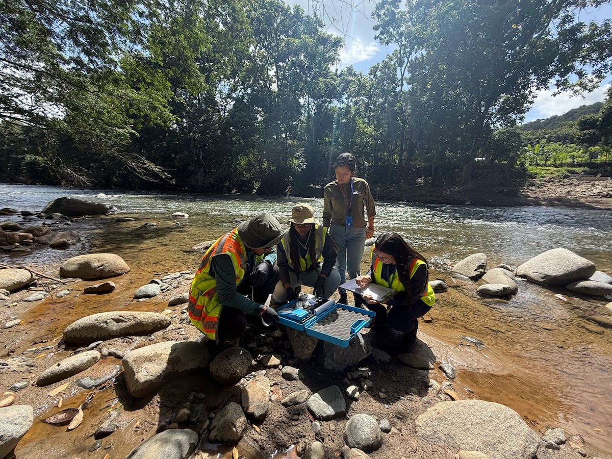 ¡El río Pacora pide auxilio! Plantas ilegales, porquerizas y basura contaminan el agua de miles