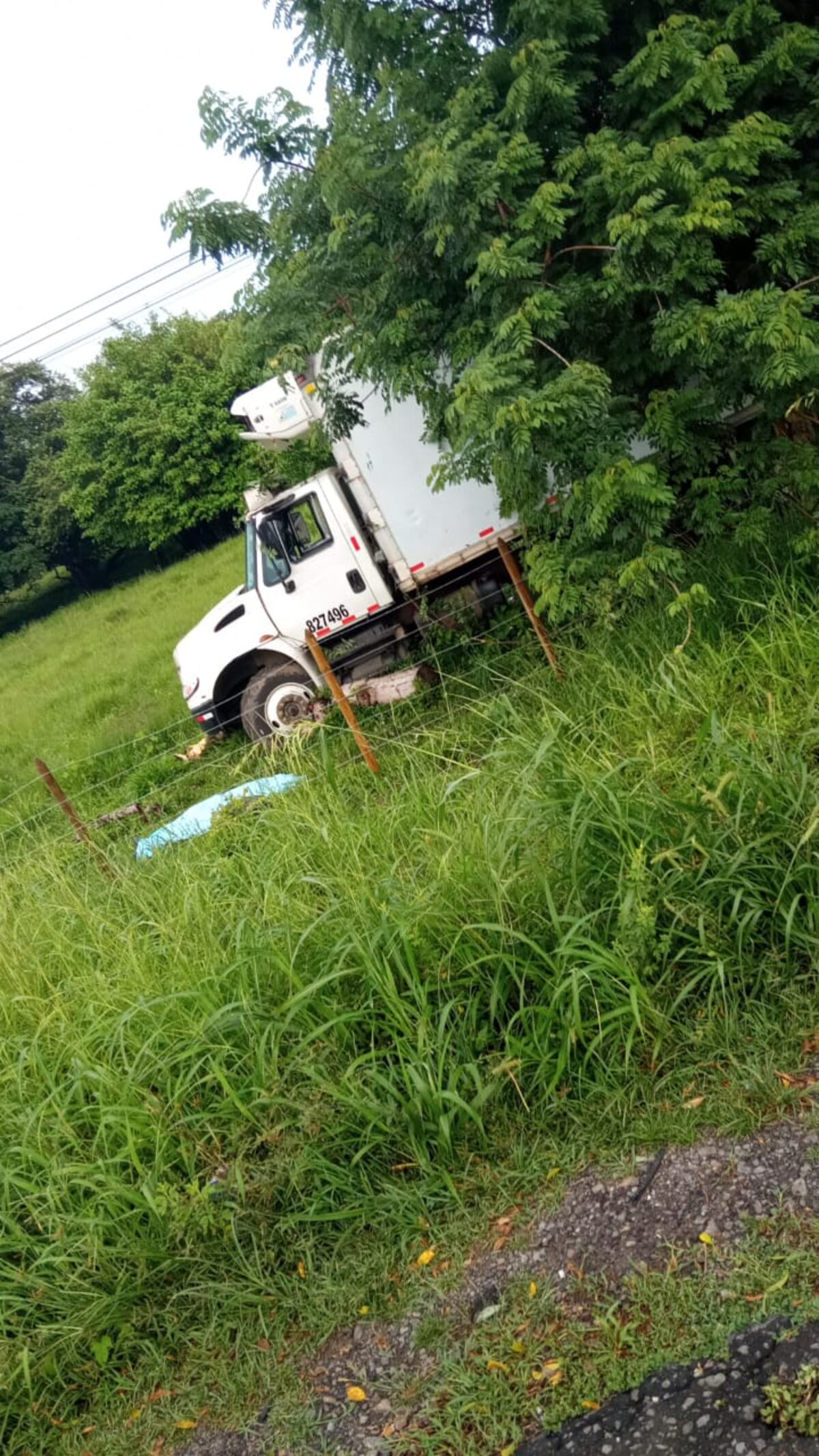 Una avispa causó la muerte de un conductor en Chame. Quedó inconsciente en el volante