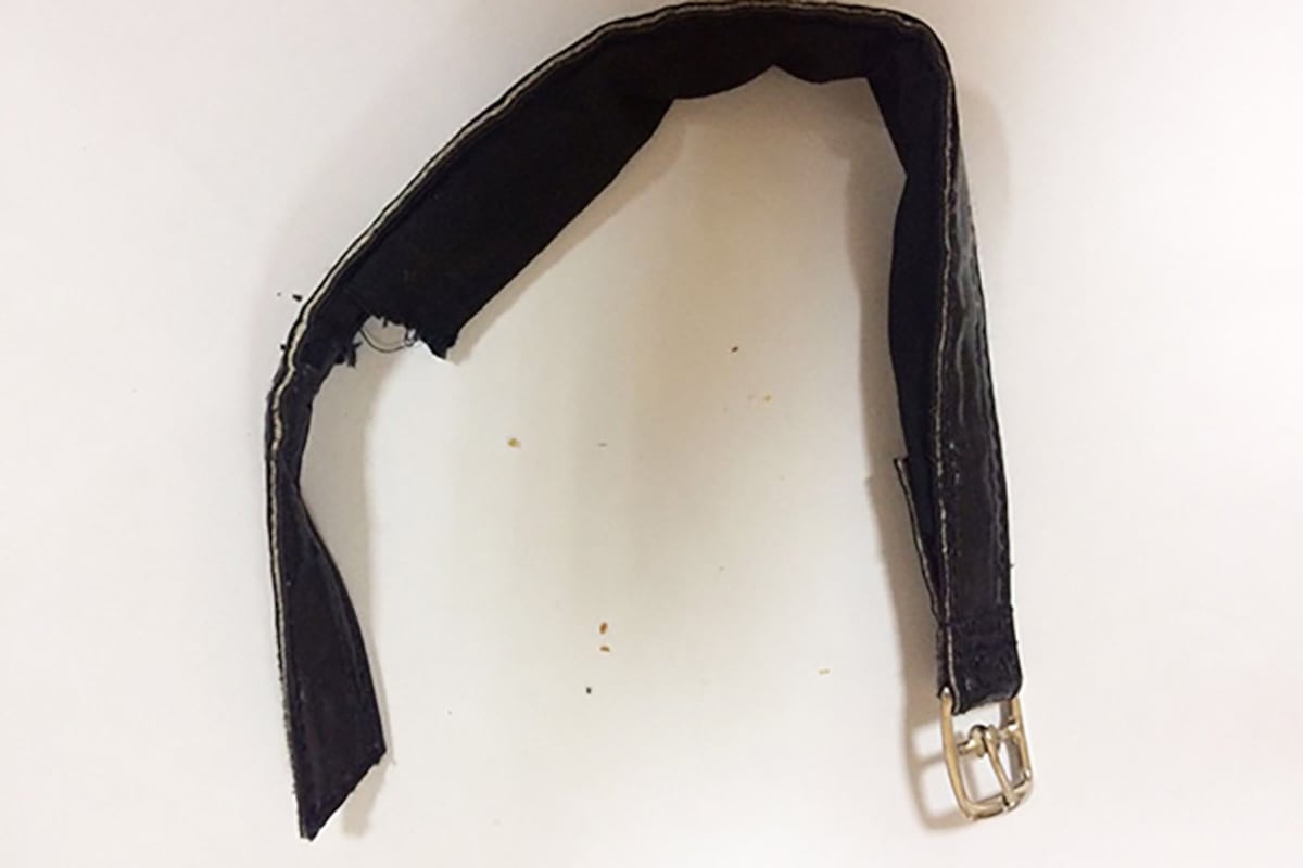 Detienen a gato narco que introducía droga a una cárcel