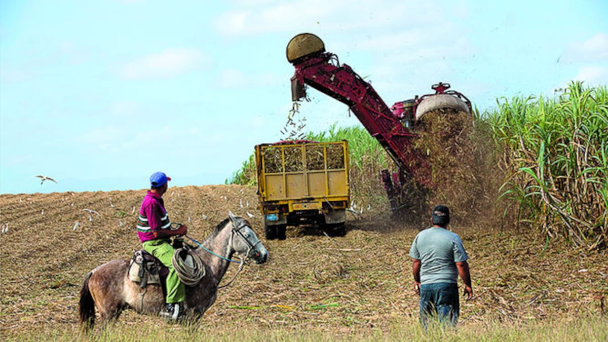 Sequía podría ser prolongada, perspectiva del clima indica altas temperaturas y fuertes vientos 