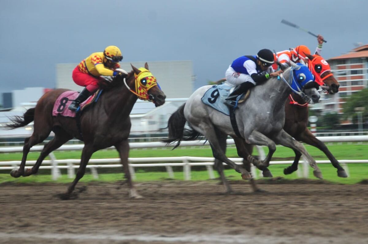 Fin de semana hípico en Panamá: Duelo de élite en el Clásico Laffit Pincay Jr.