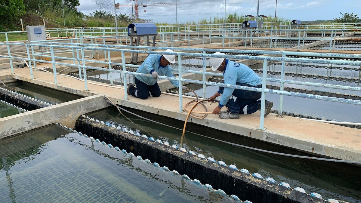 Turbiedad del agua se debe a lluvias en la cuenca del Chagres, según el Idaan
