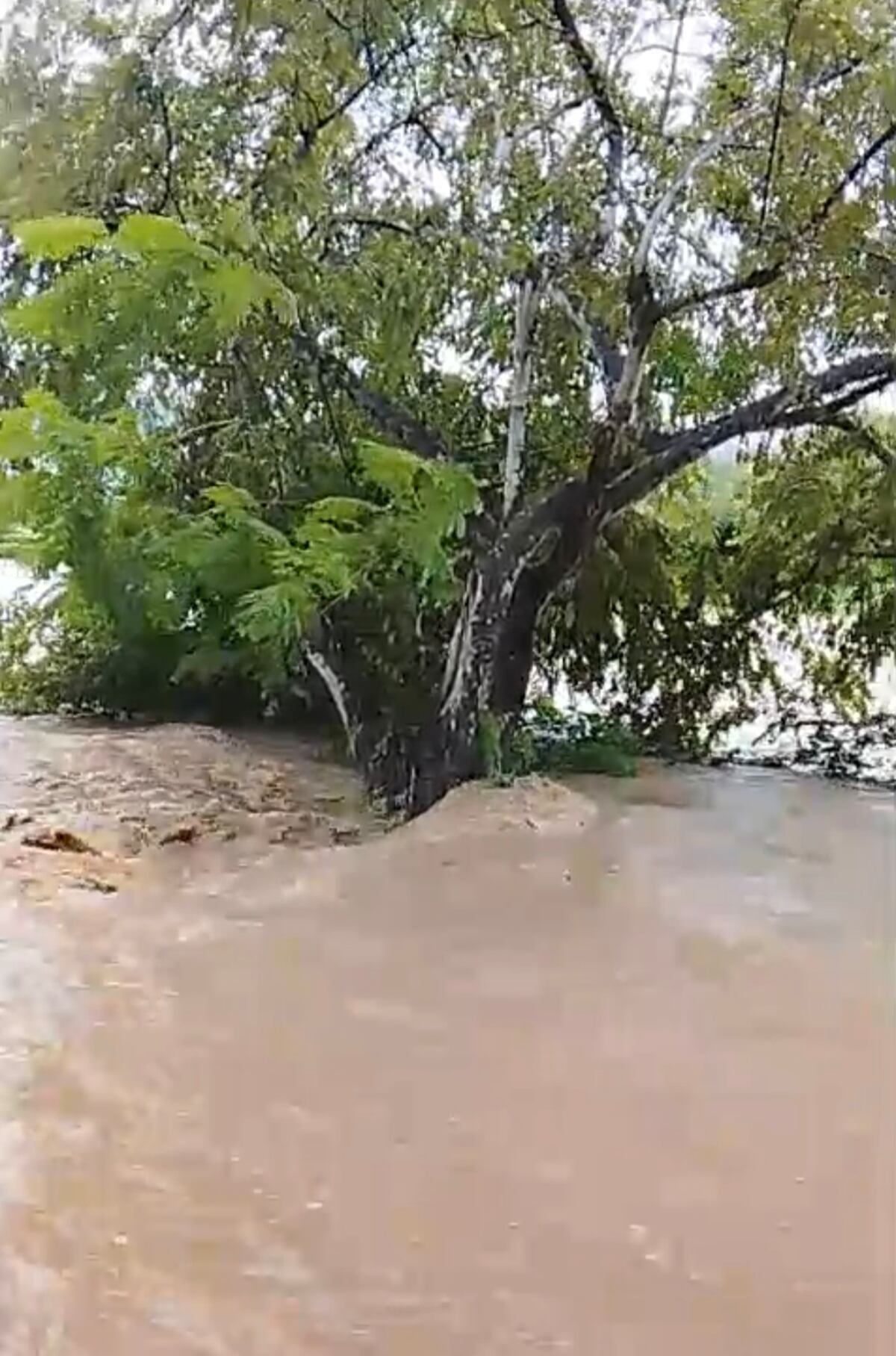 Tonosí se ahoga entre lodo y lluvia: así golpea el huracán Melissa a Los Santos y Veraguas 