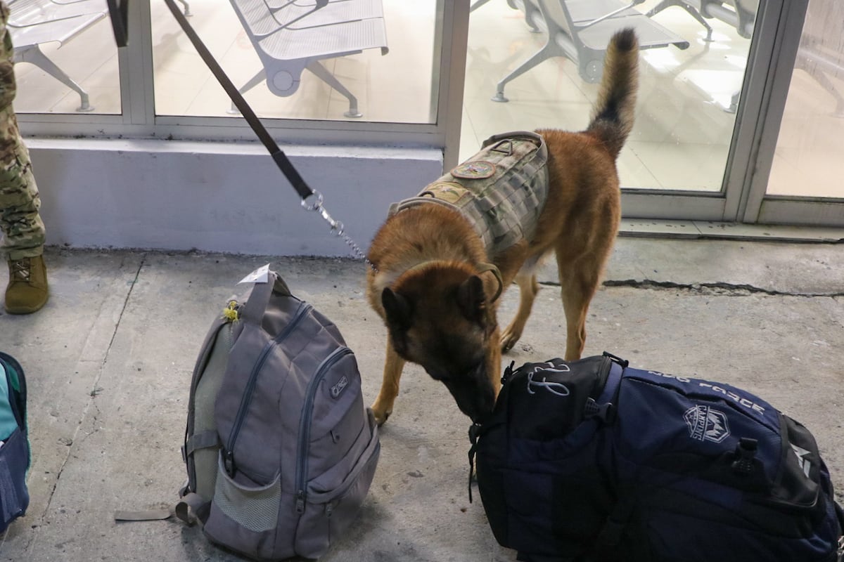 Vuelo sin retorno: Migración envía a 35 colombianos de regreso