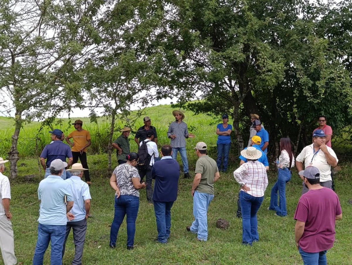 Celebran el Día de Campo en Los Santos y fortalecen la ganadería local con apoyo del MIDA y COPEG