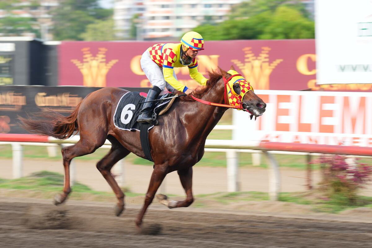 Todo listo para el Clásico Presidente de la República: Los mejores caballos compiten por 75 Mil Dólares