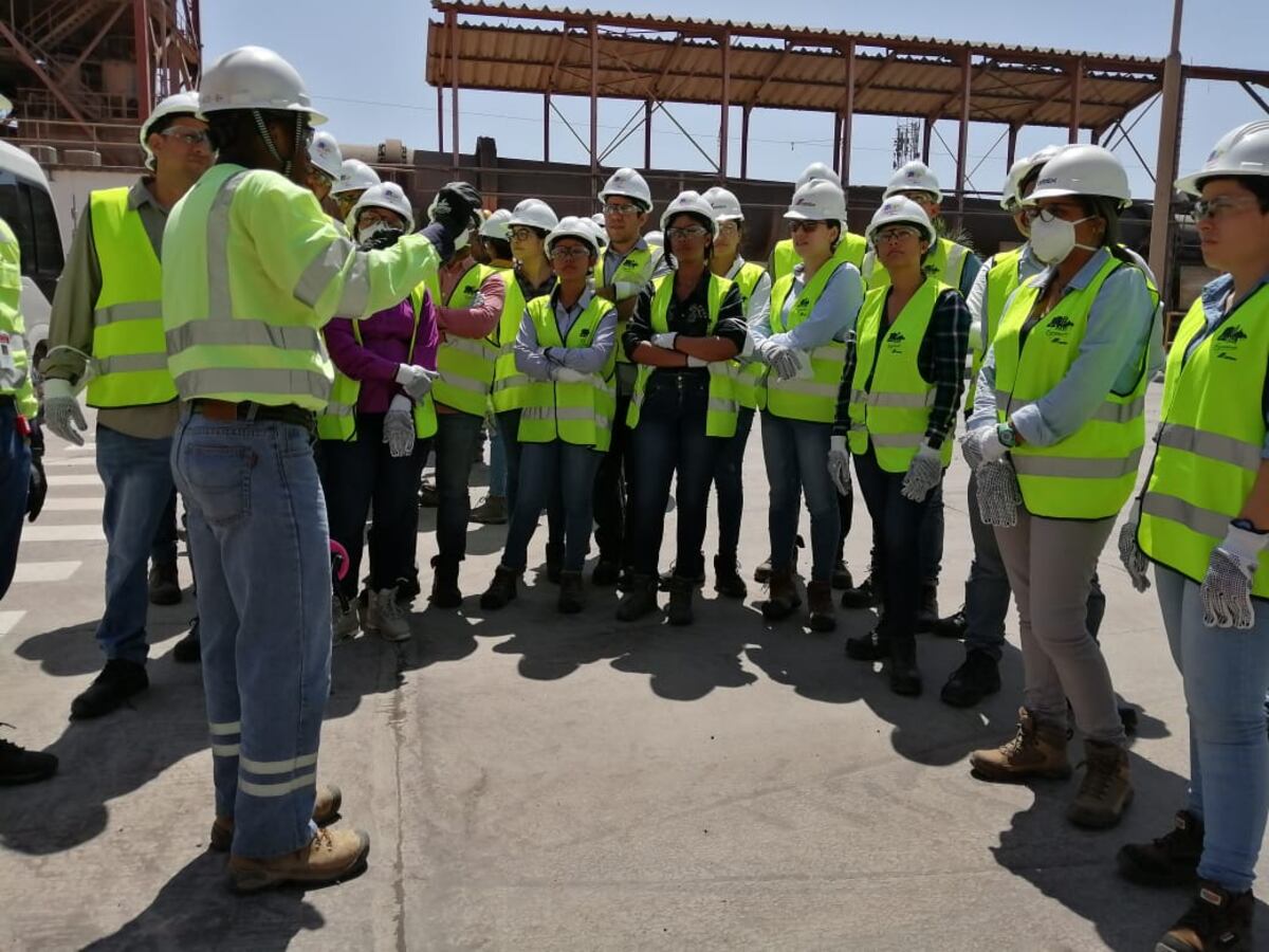 Estudiantes de la UTP tomaron  cursos de operación y manejo de plantas de cemento