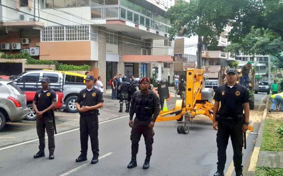 Tremendo revulú se formó por la tala de los dos árboles