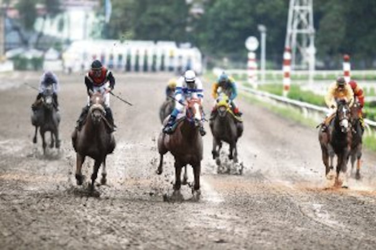 Serie Hípica del Caribe 2025 promete espectáculo familiar en el Hipódromo  Presidente Remón