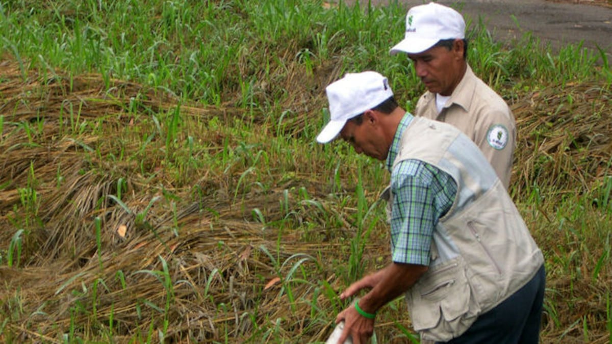 MINSA descarta hantavirus en la muerte de niño en Tonosí y confirma infección bacteriana
