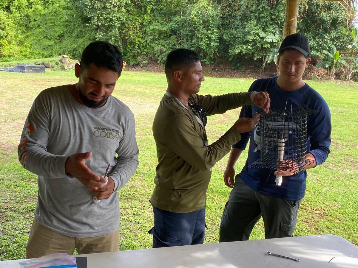 Coiba lidera encuentro clave contra especies invasoras en el Pacífico