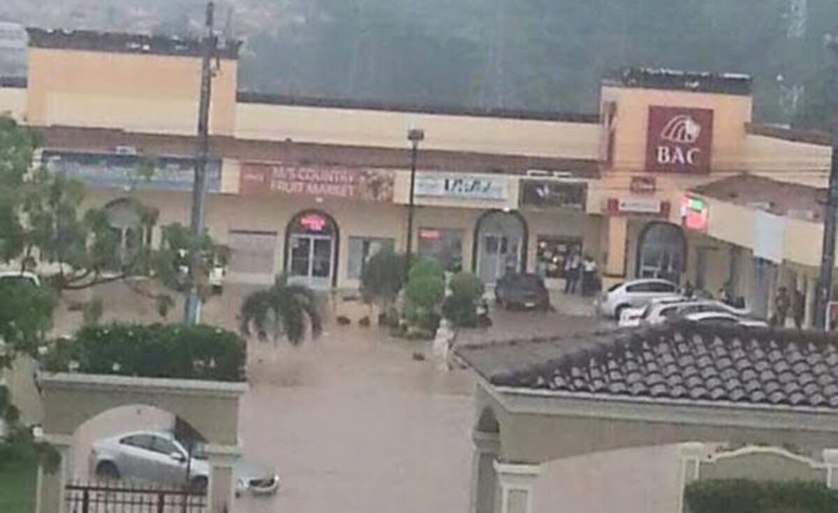 Sinaproc pide no levantar la suspensión de construcción en Condado del Rey