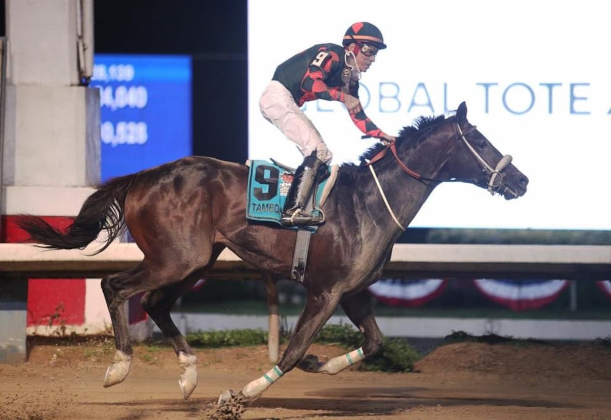 ‘Tamborero’ se llevó el evento importante de la Serie Hípica del Caribe 2021