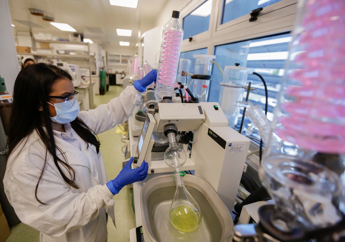 La Senacyt realizó el Café Científico “Mujeres en Ciencia: ¿Por qué estudiar una carrera STEM?”   