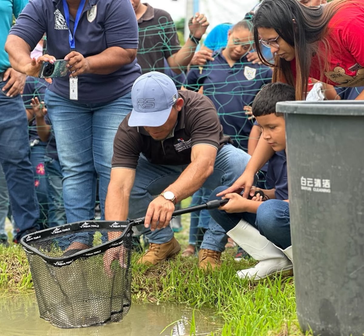 Plan piloto en Chepo y Cañitas combina arroz y peces y promete hasta 3 cosechas al año