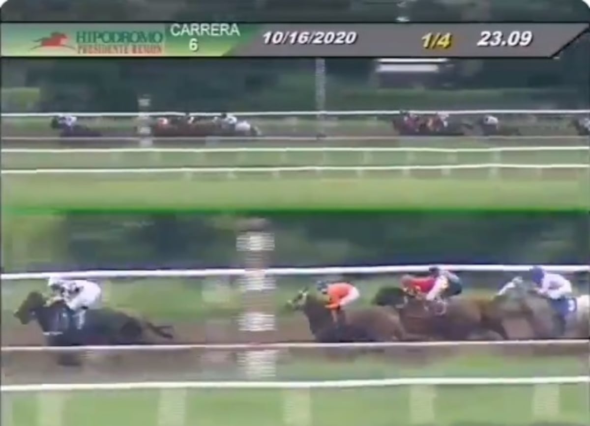 Accidente en el hipódromo. Cuatro jinetes caen en medio de una carrera. Uno de ellos está grave. Video