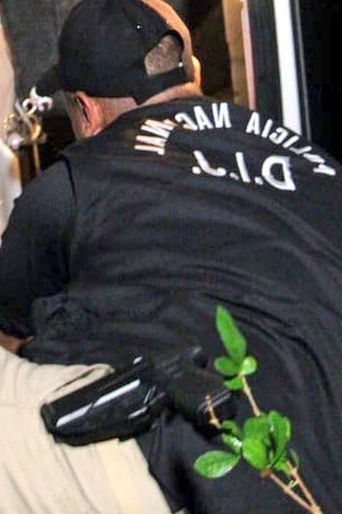 VIDEO. Atrapan organización criminal dedicada al sicariato, secuestro y estafa