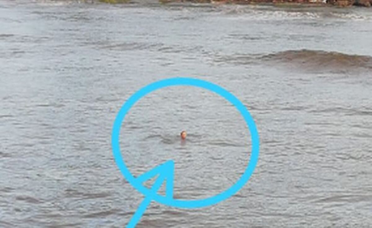 Impactante el momento en el que el hombre que se lanzó al mar se tira del taxi