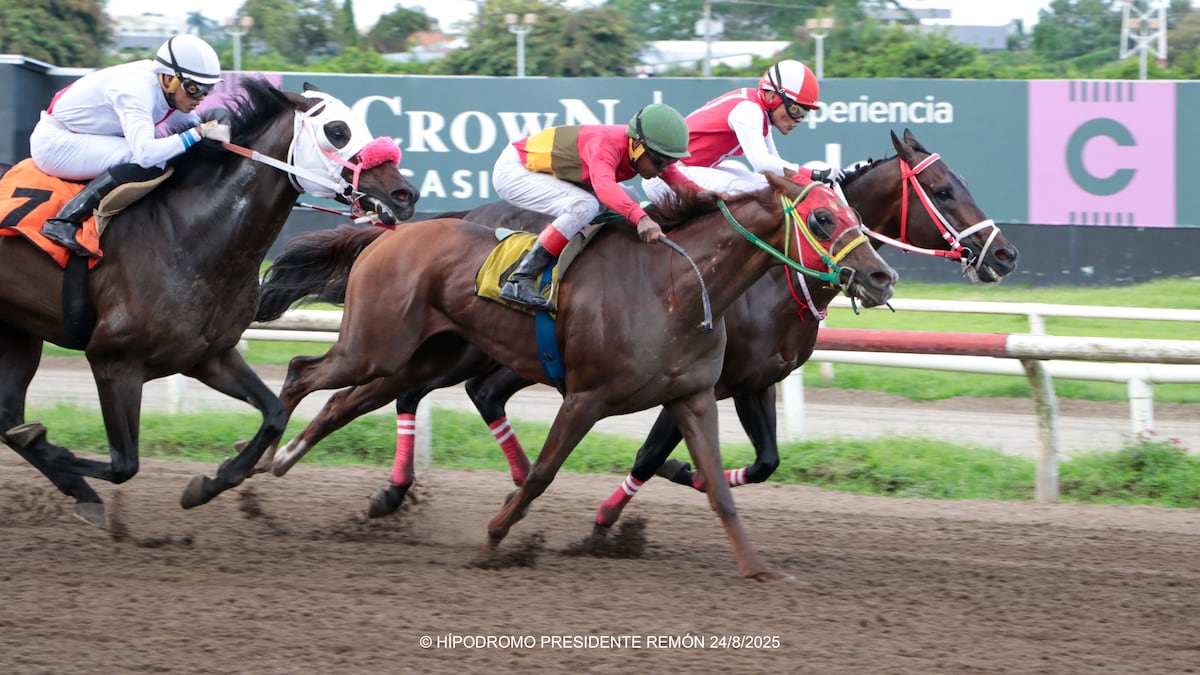 De $32 a más de 67 mil: jugada del 5 y 6 sacudió el Hipódromo