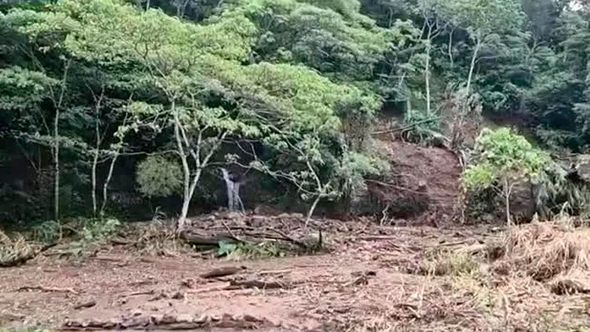 Productores de Boquete piden ayuda tras deslaves y pérdidas en cultivos