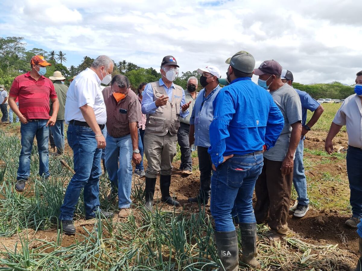Gobierno ofrece ayuda a productores coclesanos afectados por la crecida de ríos