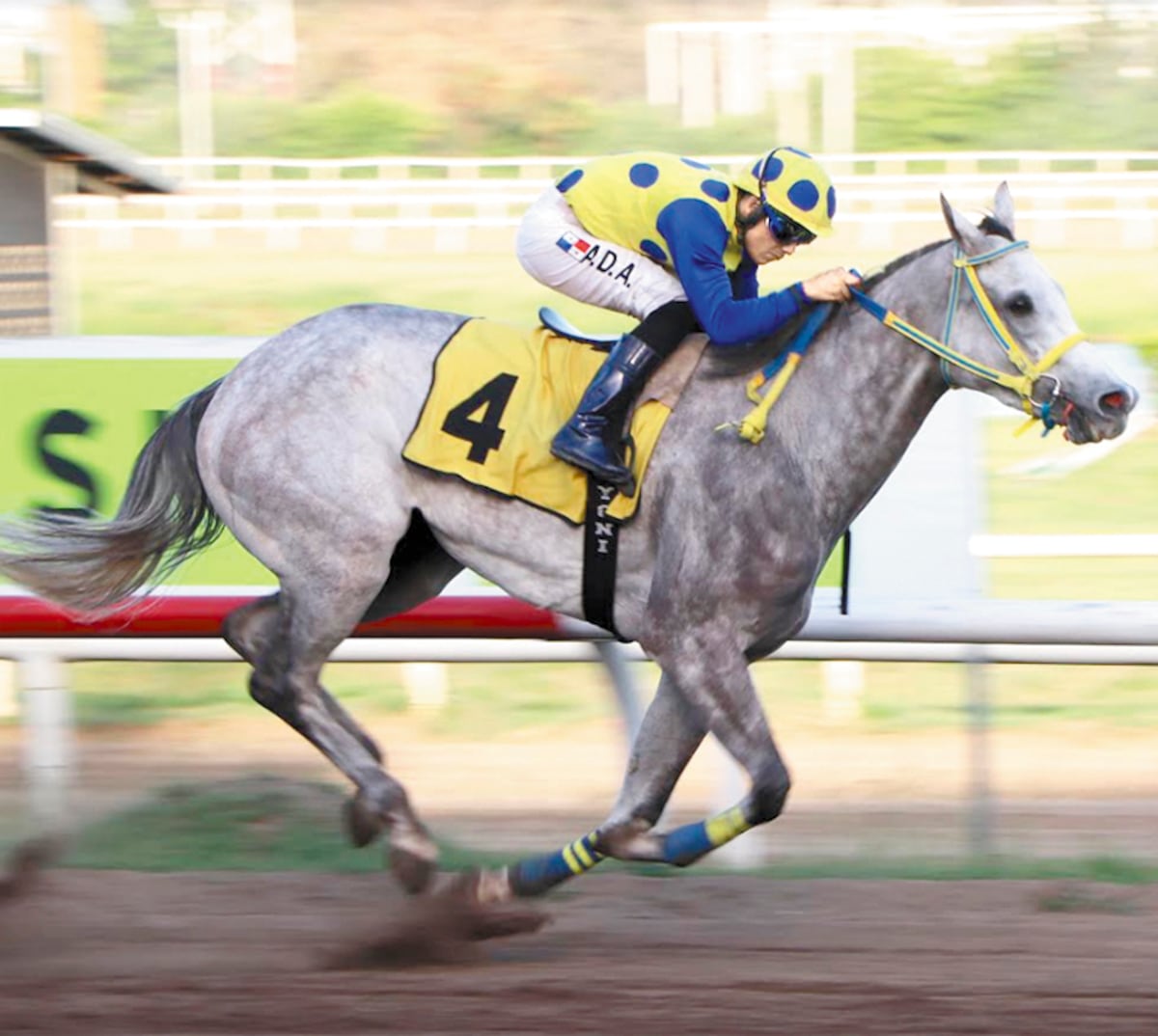 Empate en las estadísticas de jinetes y preparadores