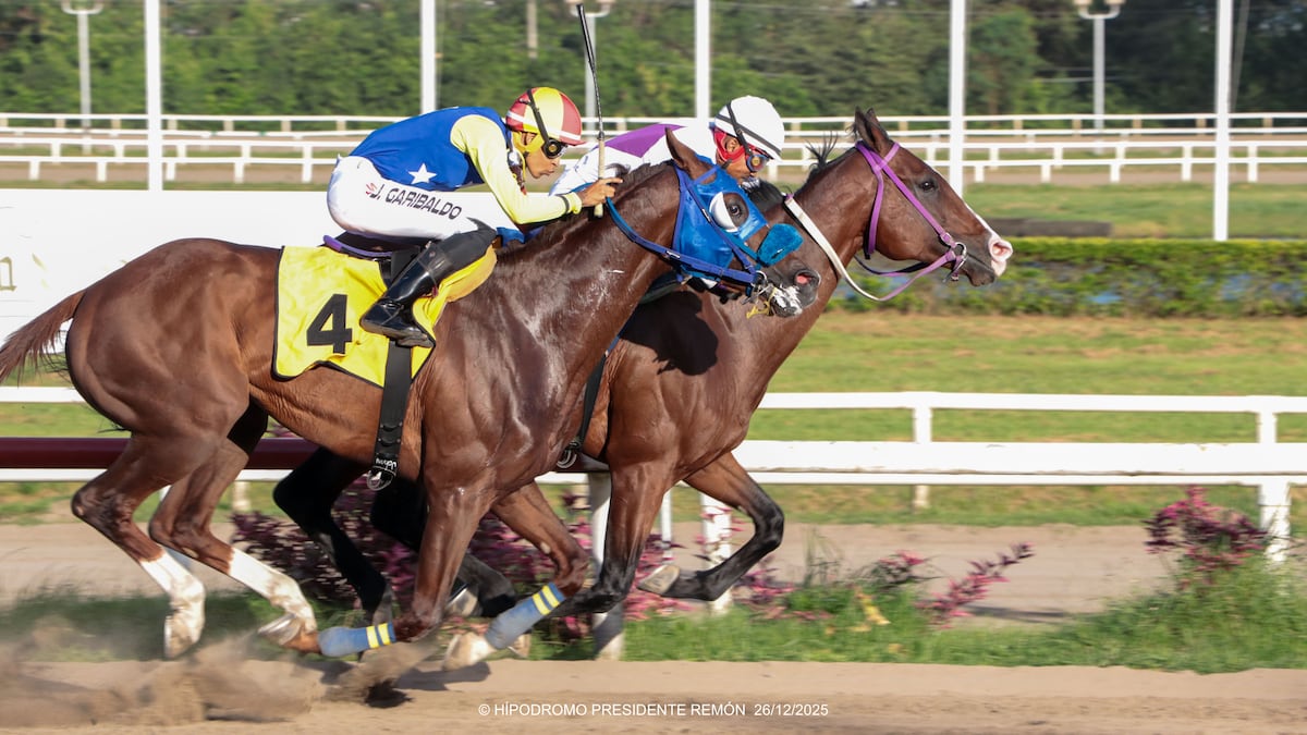 Siete cracks al Clásico Año Nuevo HPR: ¡el primer clásico 2026 ya tiene caballos!