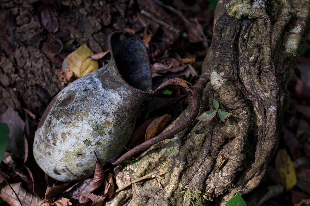 ¡Orgullo istmeño! La Ruta Colonial Transístmica ya es Patrimonio Mundial