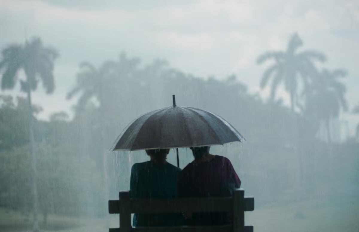 ‘Querido Trópico’ va por los Oscar y Goya 2026 tras conquistar festivales internacionales