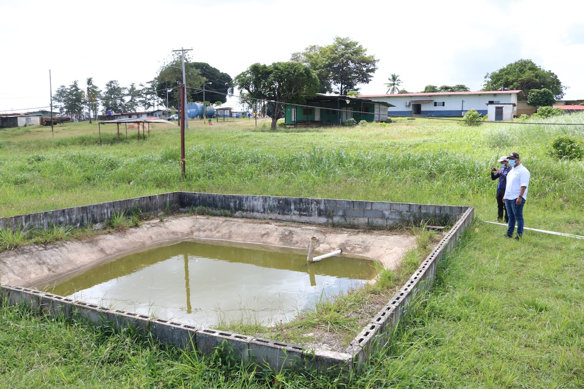 En enero arranca proyecto de tilapias en La Joyita