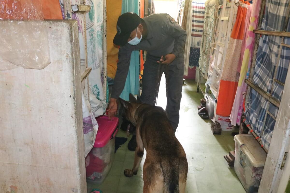 Desde celulares, cargadores y navajas, hasta máquinas de tatuar, fueron descubiertos entre otros objetos prohibidos en la cárcel de mujeres