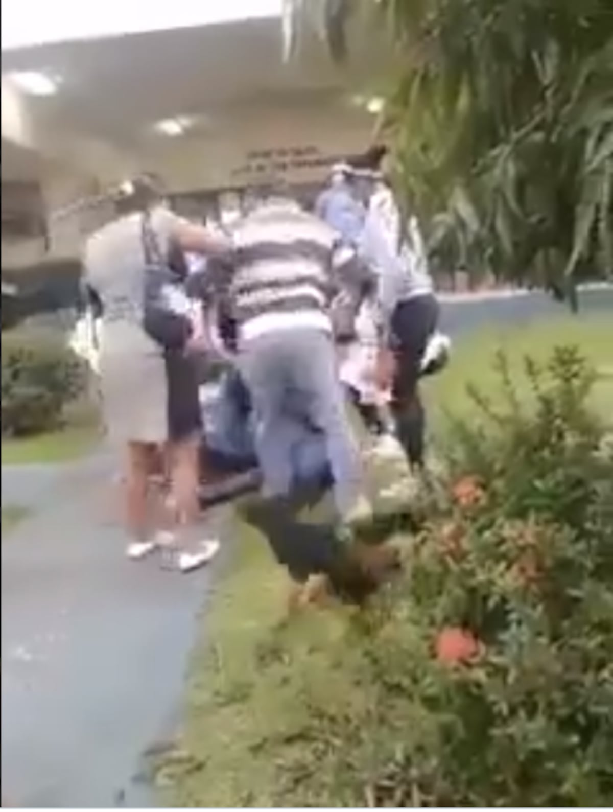 Lamentable. Puños y patadas en un centro de salud por un cupo de laboratorio. Video