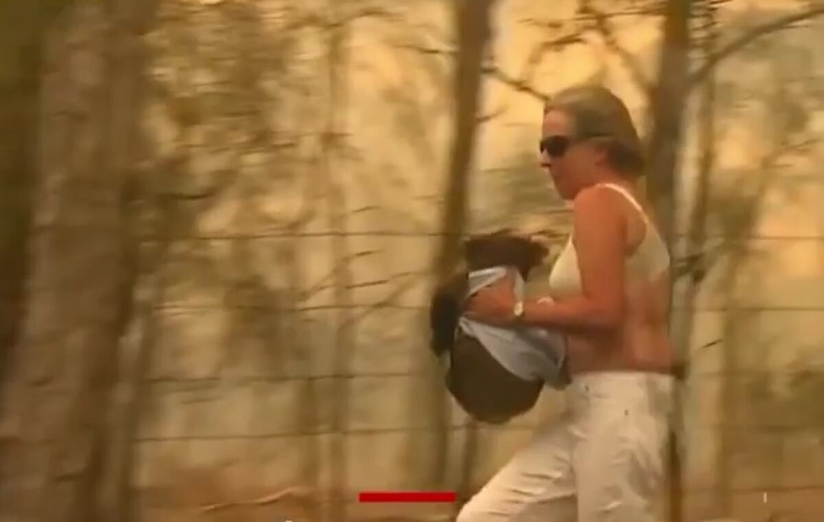 Viral. Desgarrador. Captan cómo mujer rescata a un koala en incendio. Video
