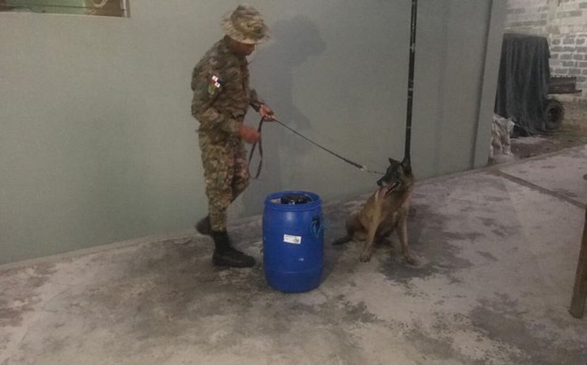 Lo capturan tratando de meter esperma al país de manera ilegal 