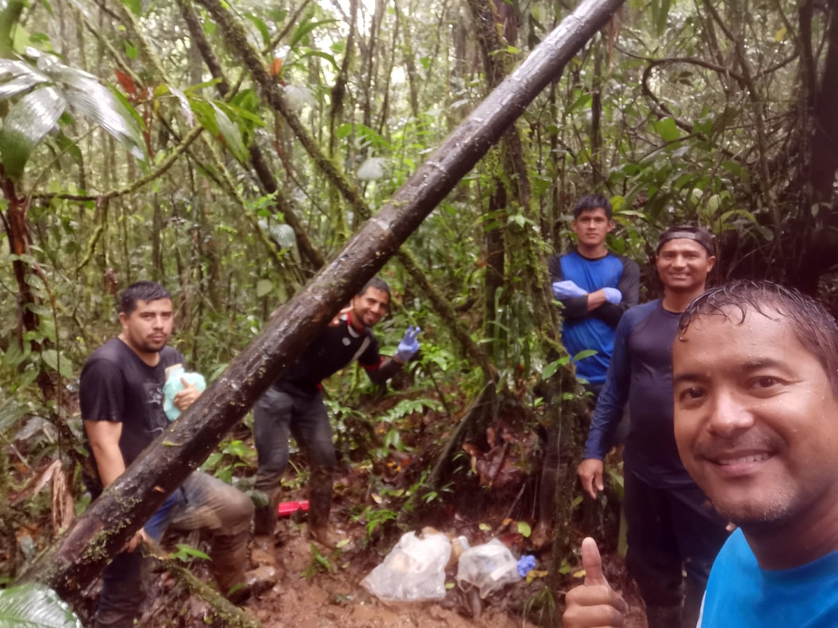 Ranita Vicente, una nueva especie descubierta en Panamá