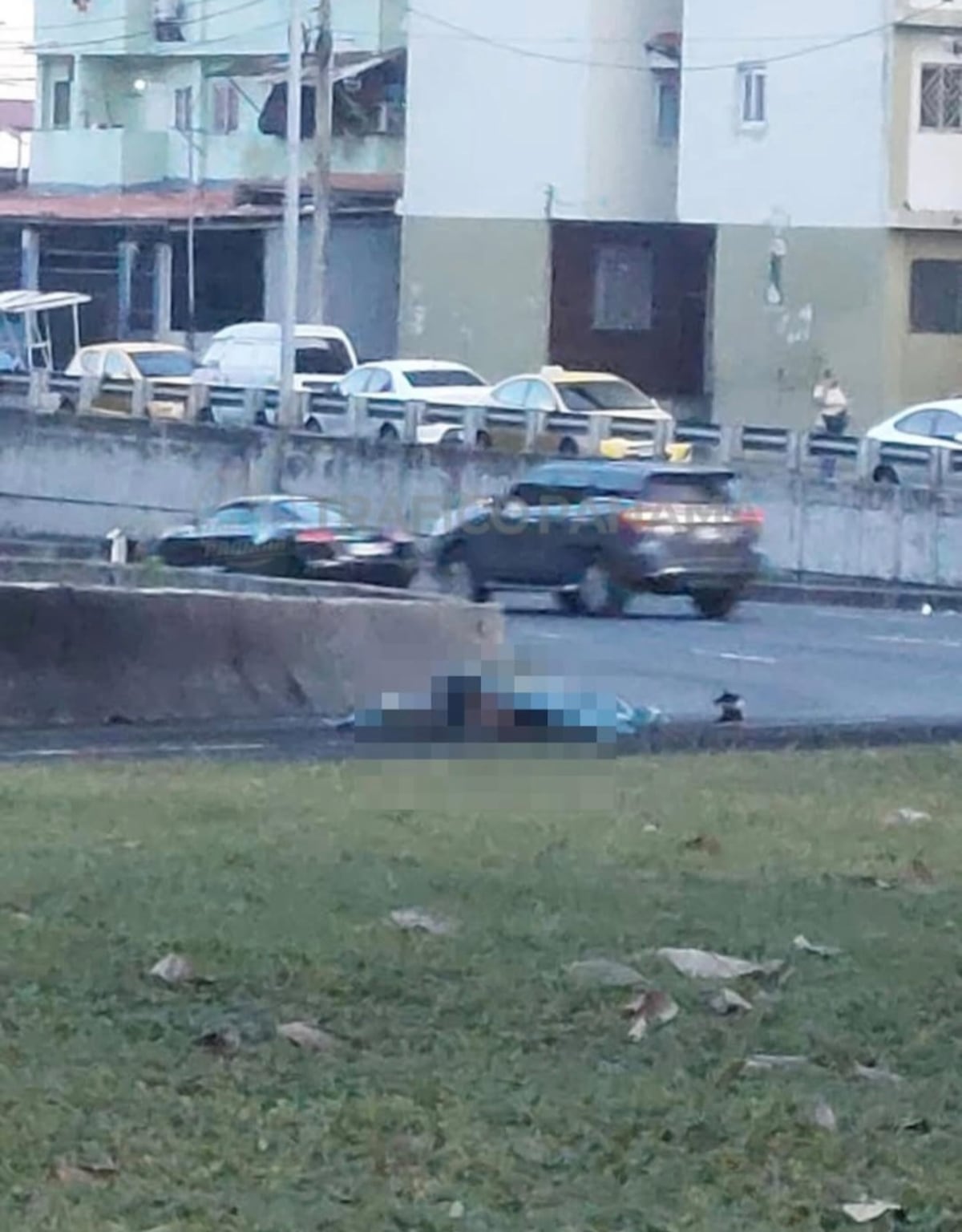 Madrugón mortal en la Avenida de los Mártires: mujer pierde la vida tras atropello