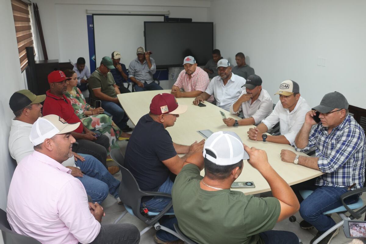 Deuda millonaria pone en riesgo la producción nacional de arroz y aumenta importaciones