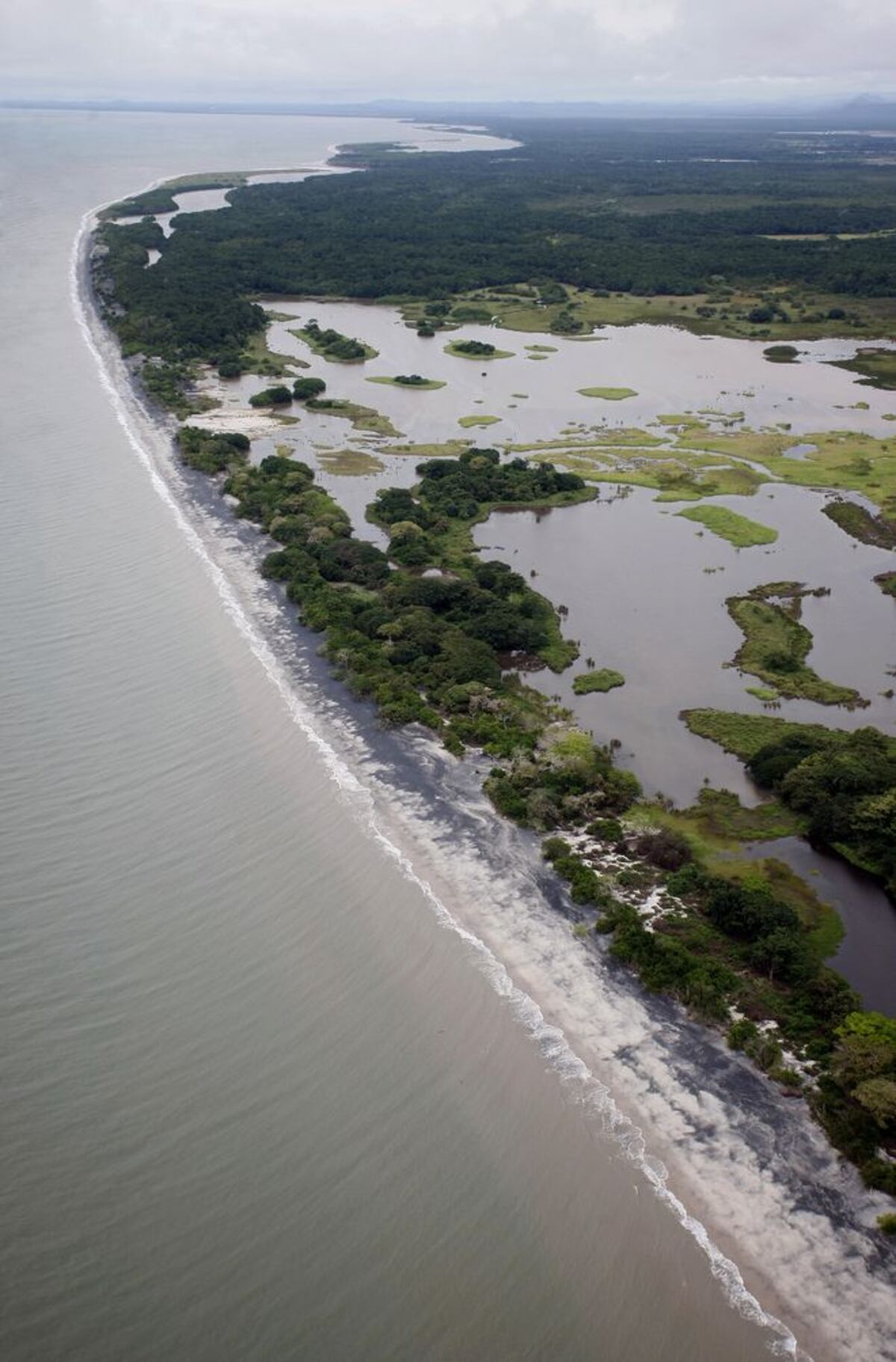Triunfo contra la corrupción. Se salvó el mapa digital de Panamá