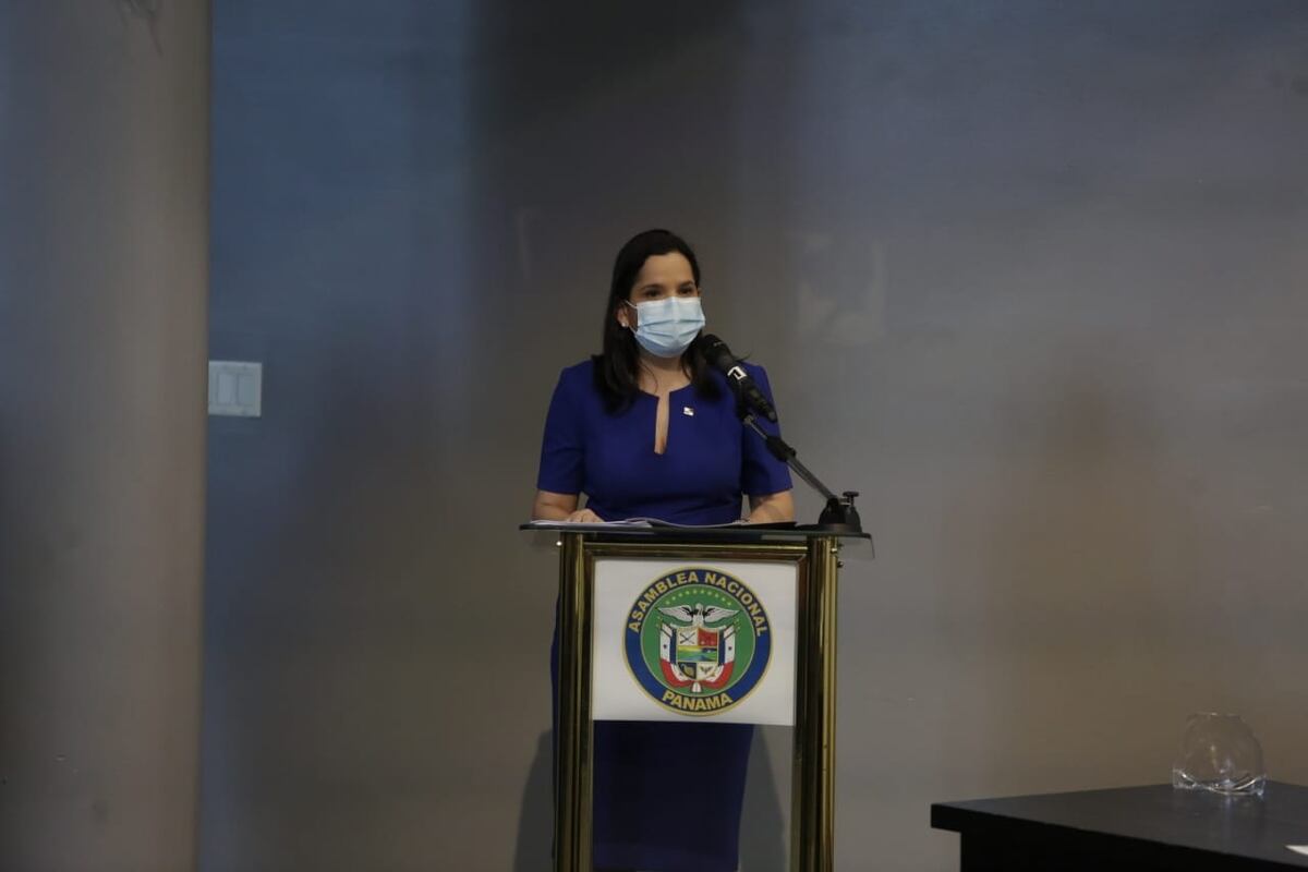 Se reúne subcomisión que analiza ley de protección integral de la niñez en Panamá